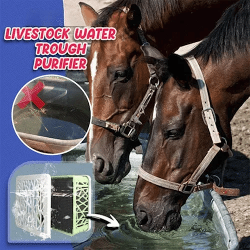Horse Trough Water Purifier Cube