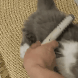 Electric Pet Dematting Grooming Comb