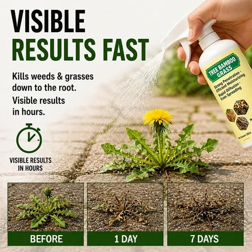 🔥Flash Sale: 50% OFF - Fast-Acting Natural Weed & Grass Killer Spray