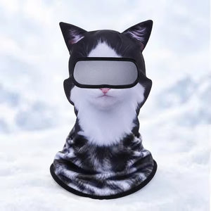 🔥Tuxedo cat