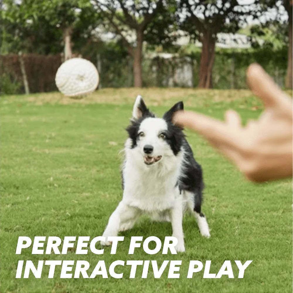 Sports Ball Dog Chew & Fetch Toy | Football, Soccer, Volleyball, Baseball