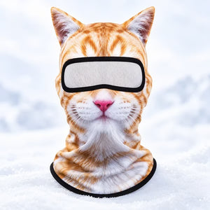 🔥Orange cat