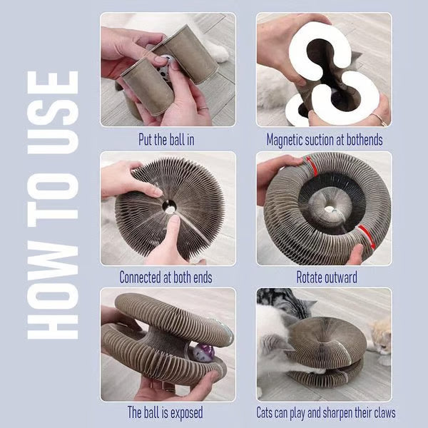 Magic Cat Scratcher — Foldable Donut Toy