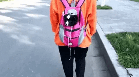 Hands-Free Dog Carrier Backpack