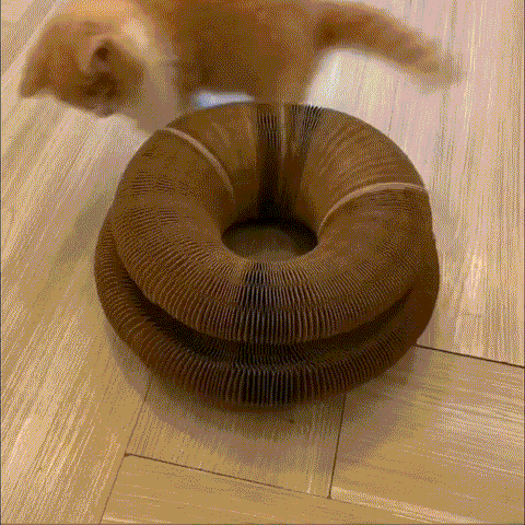 Magic Cat Scratcher — Foldable Donut Toy