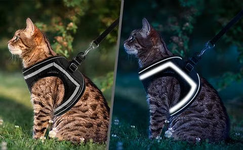 Adjustable Breathable Luminous Purrfect Feline Freedom Harness