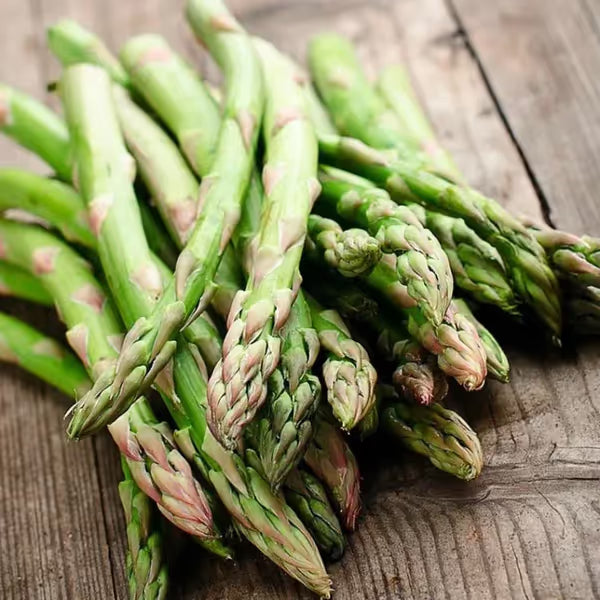 🌿Four Seasons Asparagus Mary Washington Seeds – Perennial, Tender, Nutrient