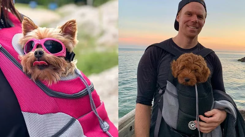 Hands-Free Dog Carrier Backpack