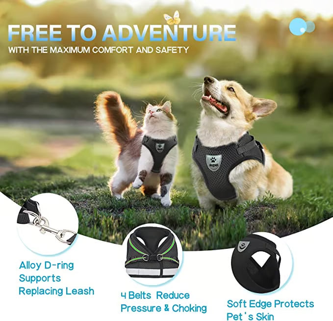 Adjustable Breathable Luminous Purrfect Feline Freedom Harness