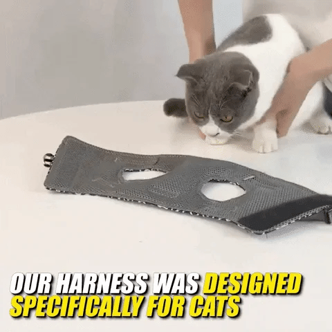 🐱Cat Vest Harness & Leash Set