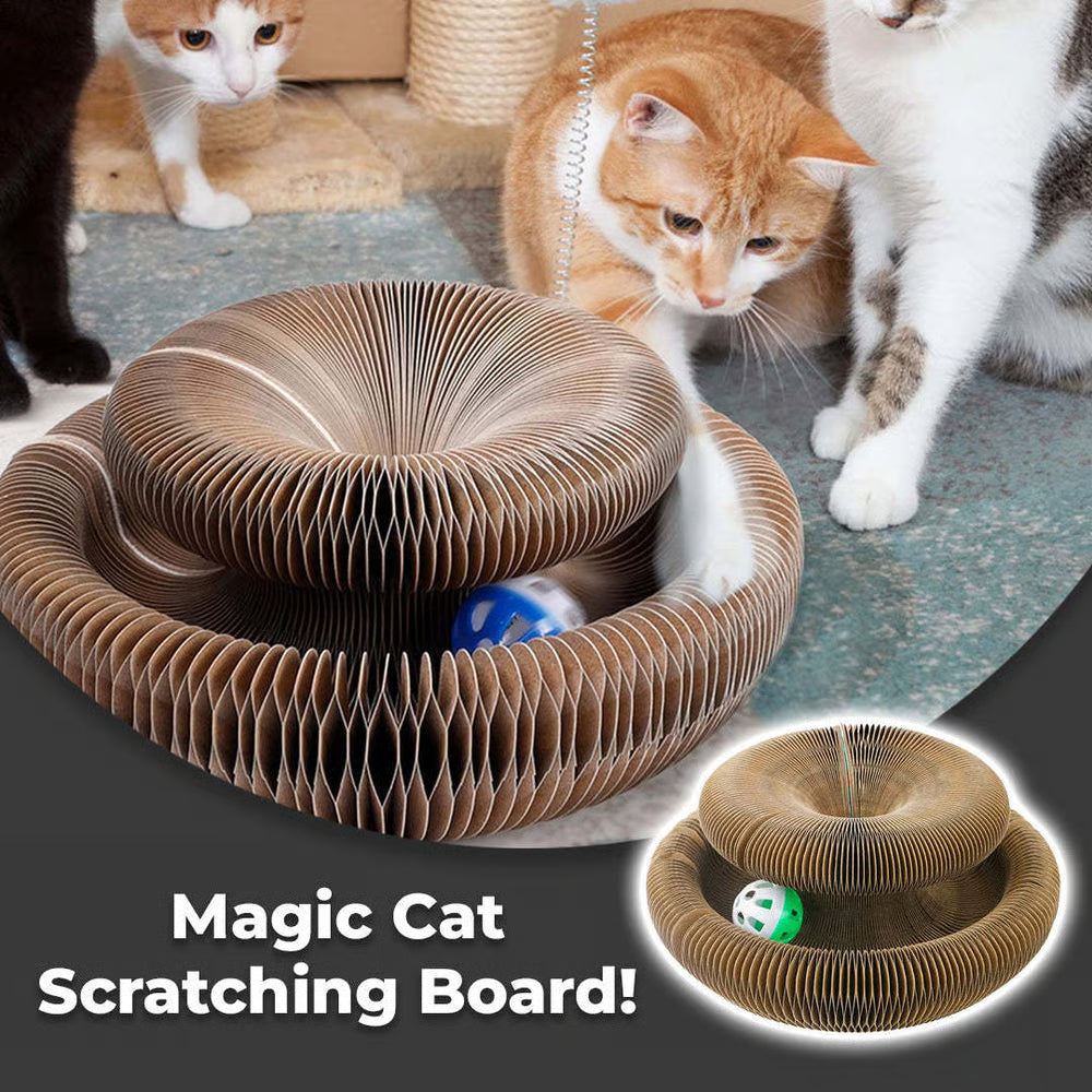 Magic Cat Scratcher — Foldable Donut Toy