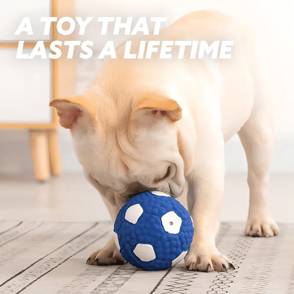 Sports Ball Dog Chew & Fetch Toy | Football, Soccer, Volleyball, Baseball