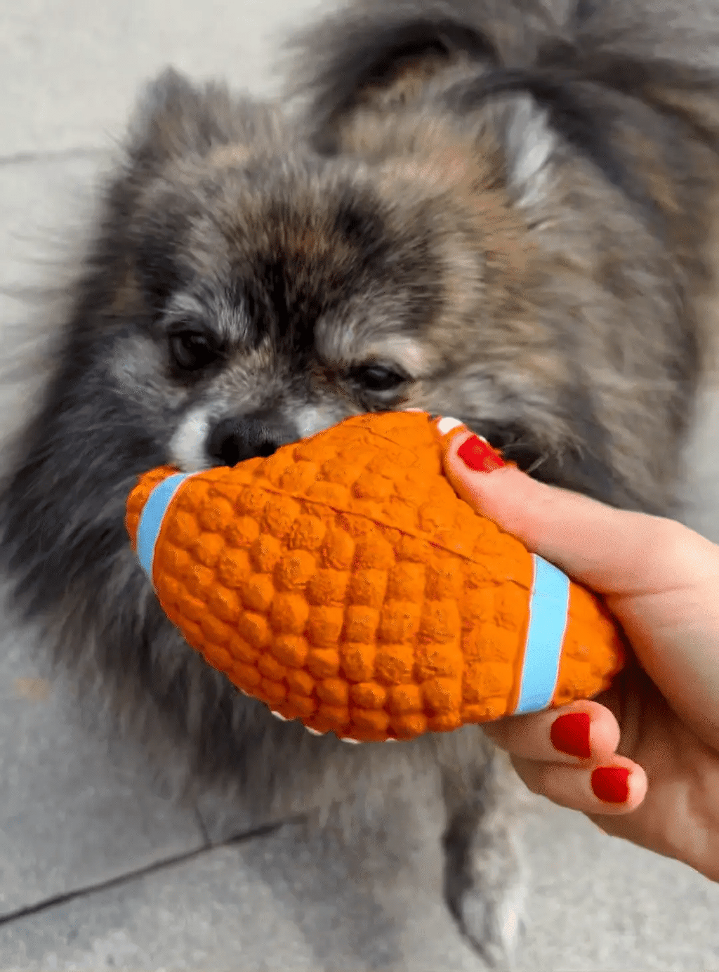 Sports Ball Dog Chew & Fetch Toy | Football, Soccer, Volleyball, Baseball