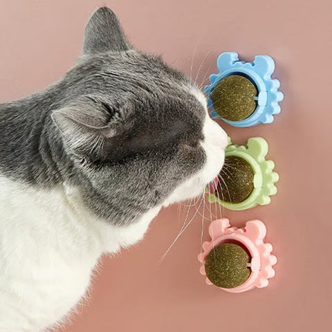 Catnip Wall Ball for Cats