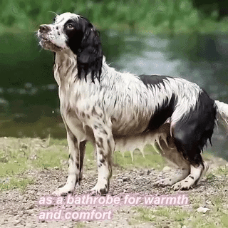Super Absorbent Dog Drying Robe