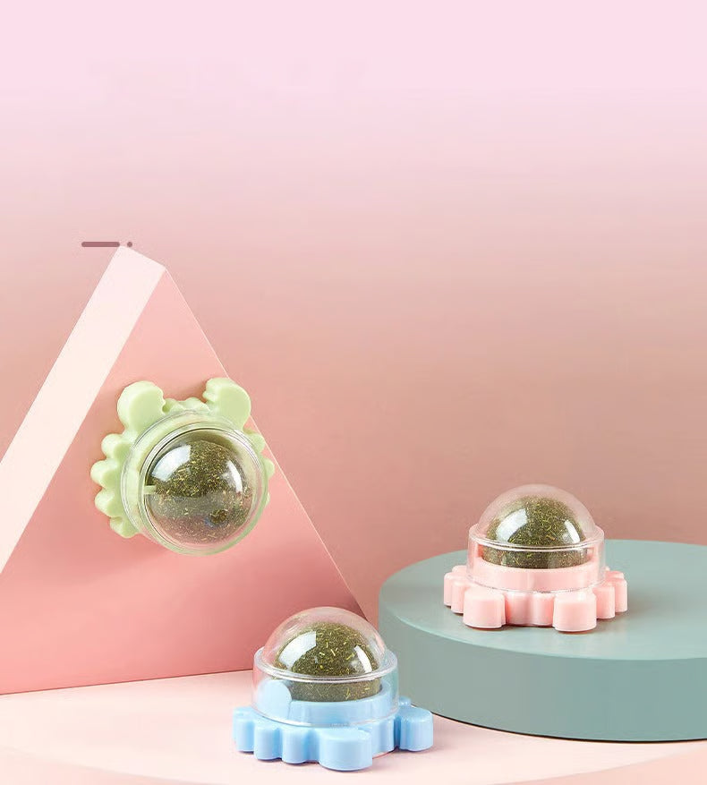 Catnip Wall Ball for Cats