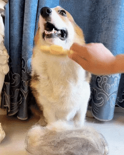 Self-Cleaning Pet Flea Comb & Grooming Brush