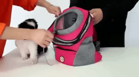Hands-Free Dog Carrier Backpack