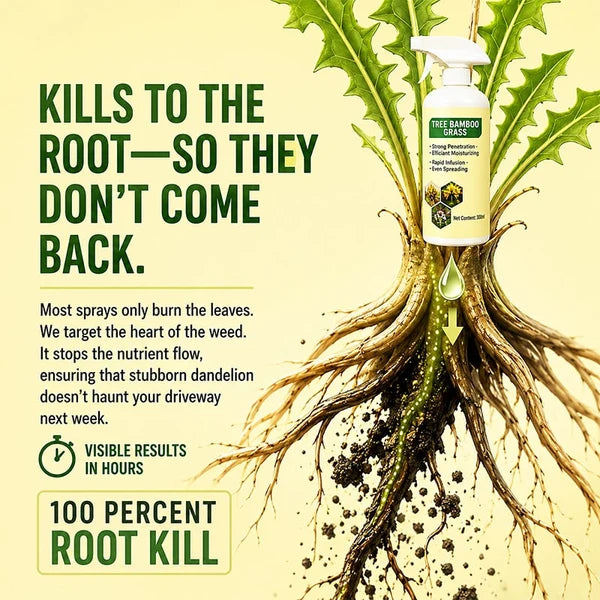🔥Flash Sale: 50% OFF - Fast-Acting Natural Weed & Grass Killer Spray